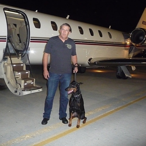 Transportation Protection Dog Training