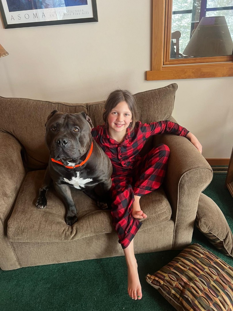 family protection dog with kid on couch