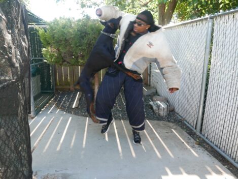 family protection dogs cudahy wisconsin https://ultimatek9.com
