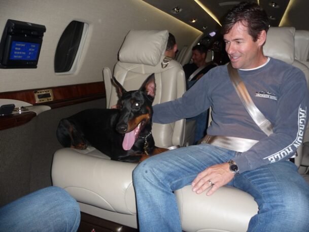 estate protection dog on airplane