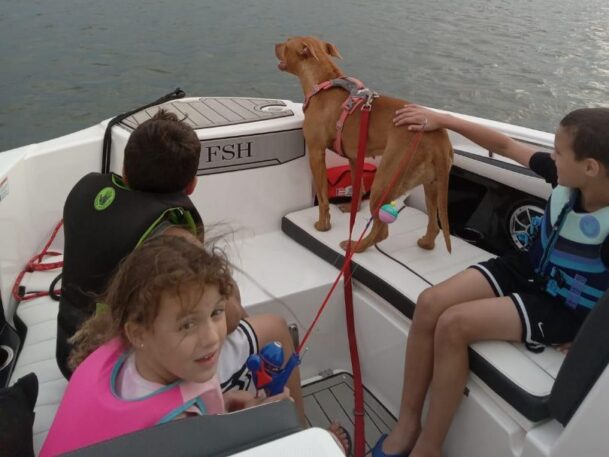 family protection dog on boat with kids