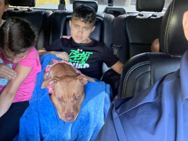 family protection dog in car with kid