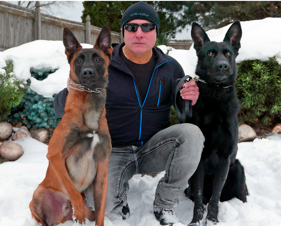family protection dog training about page image https://ultimatek9.com