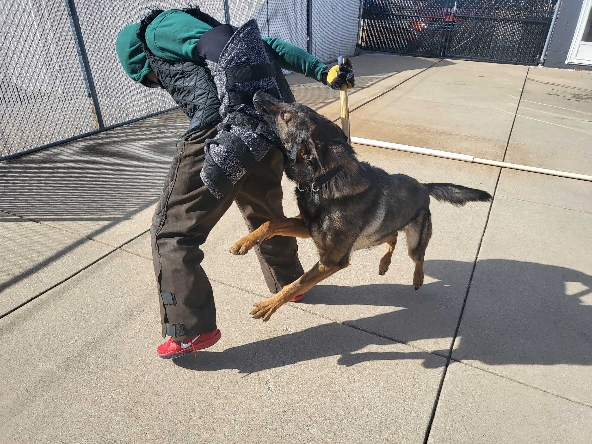 protection dog leaping by ultimatek9.com