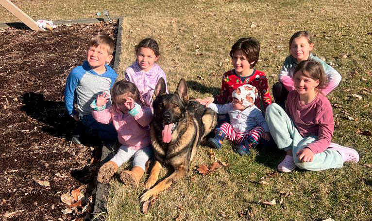 dogkidsparkcropped protection dog with kids in park