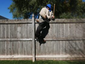 family protection dog training https://ultimatek9.com