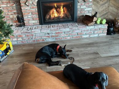 IMG9515911 estate protection dogs by fireplace https://ultimatek9.com