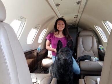 Resized_20170503_113343 estate protection dog in airplane with woman https://ultimatek9.com