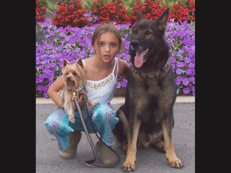 family protection dog girl with two dogs